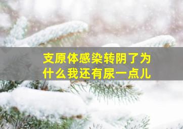 支原体感染转阴了为什么我还有尿一点儿