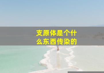 支原体是个什么东西传染的