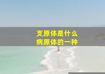 支原体是什么病原体的一种