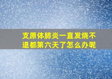 支原体肺炎一直发烧不退都第六天了怎么办呢