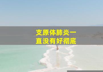 支原体肺炎一直没有好彻底