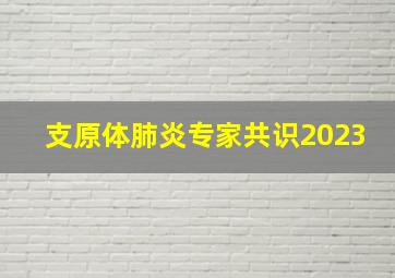 支原体肺炎专家共识2023