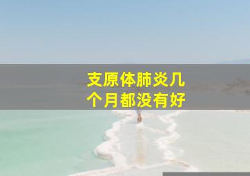 支原体肺炎几个月都没有好