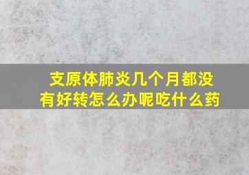 支原体肺炎几个月都没有好转怎么办呢吃什么药