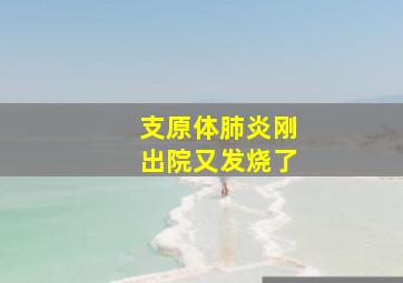 支原体肺炎刚出院又发烧了