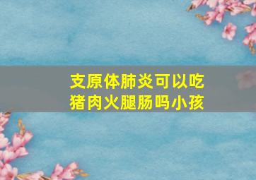 支原体肺炎可以吃猪肉火腿肠吗小孩