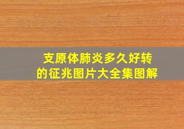 支原体肺炎多久好转的征兆图片大全集图解