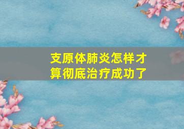 支原体肺炎怎样才算彻底治疗成功了