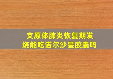 支原体肺炎恢复期发烧能吃诺尔沙星胶囊吗