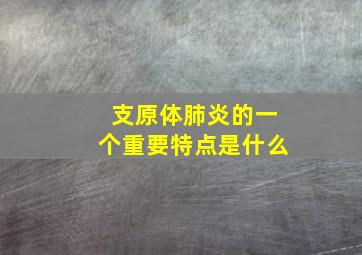 支原体肺炎的一个重要特点是什么