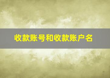 收款账号和收款账户名