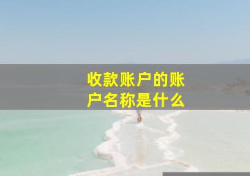 收款账户的账户名称是什么