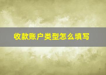 收款账户类型怎么填写