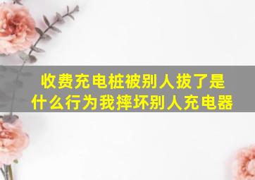 收费充电桩被别人拔了是什么行为我摔坏别人充电器