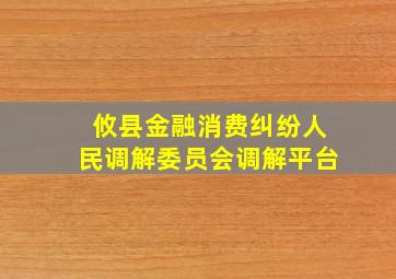 攸县金融消费纠纷人民调解委员会调解平台