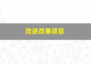 改进改善项目