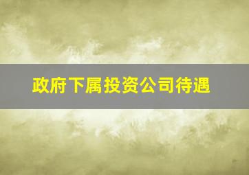 政府下属投资公司待遇