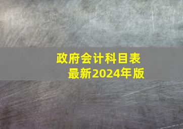 政府会计科目表最新2024年版