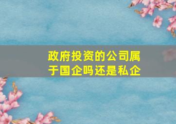 政府投资的公司属于国企吗还是私企