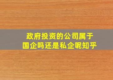 政府投资的公司属于国企吗还是私企呢知乎