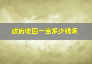 政府收田一亩多少钱啊