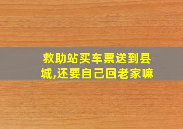 救助站买车票送到县城,还要自己回老家嘛