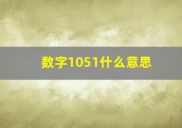 数字1051什么意思