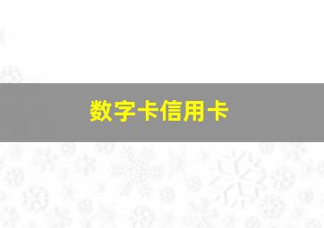 数字卡信用卡