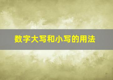 数字大写和小写的用法