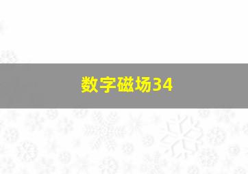 数字磁场34