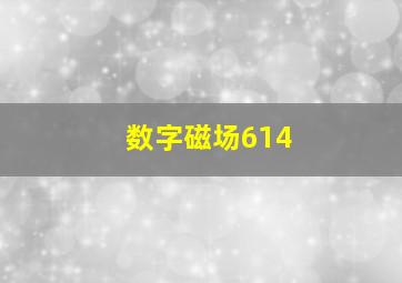 数字磁场614