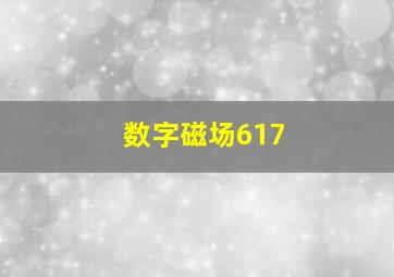 数字磁场617