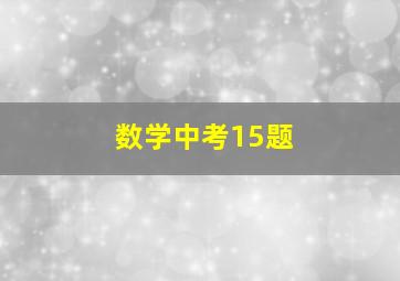 数学中考15题