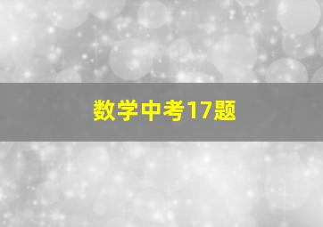 数学中考17题