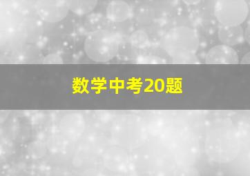 数学中考20题