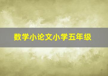 数学小论文小学五年级