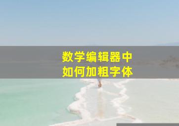 数学编辑器中如何加粗字体