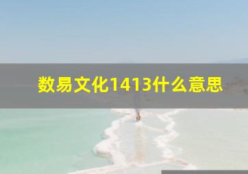 数易文化1413什么意思