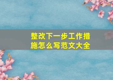 整改下一步工作措施怎么写范文大全