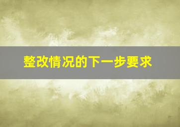 整改情况的下一步要求