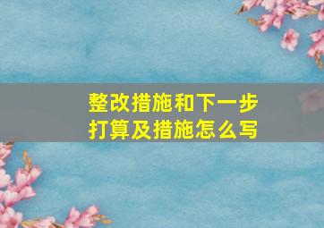 整改措施和下一步打算及措施怎么写