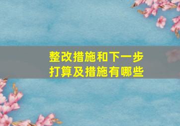 整改措施和下一步打算及措施有哪些