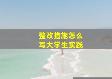 整改措施怎么写大学生实践