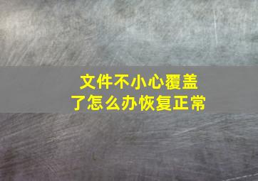 文件不小心覆盖了怎么办恢复正常