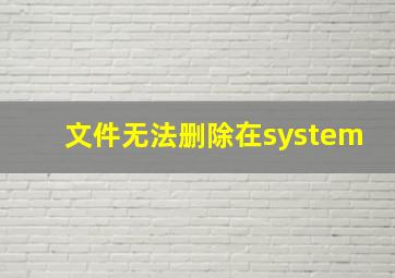 文件无法删除在system