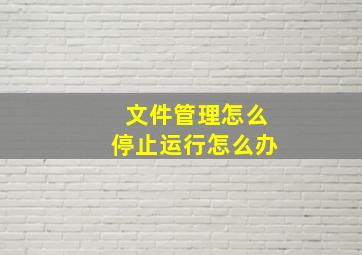 文件管理怎么停止运行怎么办