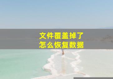 文件覆盖掉了怎么恢复数据