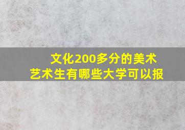 文化200多分的美术艺术生有哪些大学可以报