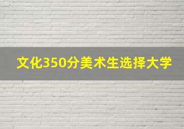 文化350分美术生选择大学