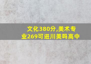 文化380分,美术专业269可进川美吗高中